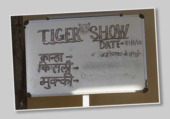 Tigershow